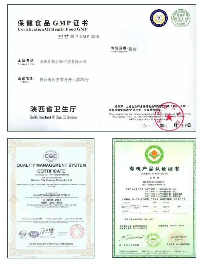 certification 4.jpg